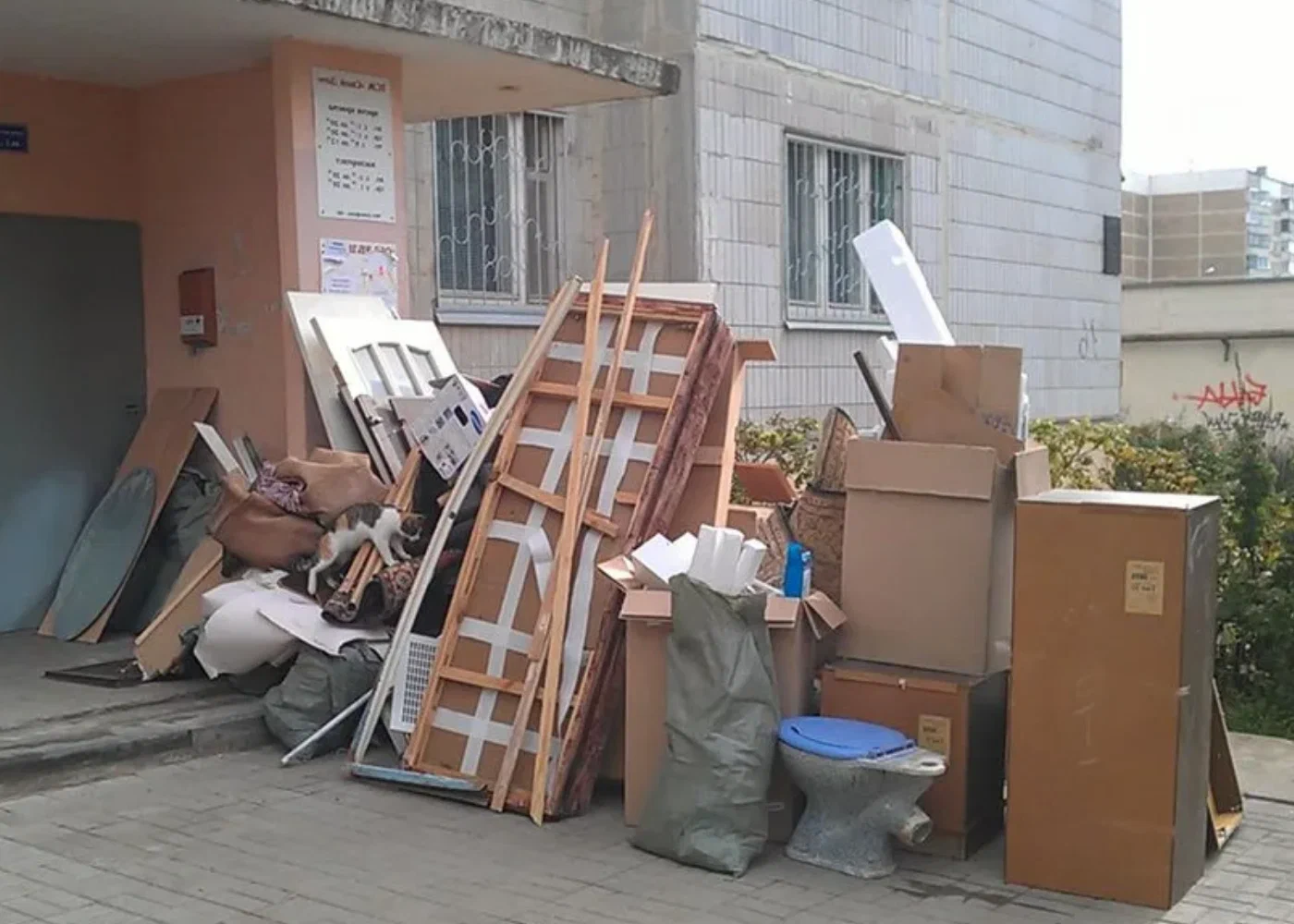 Профессиональный вывоз мусора из квартиры в Кохме в октябре