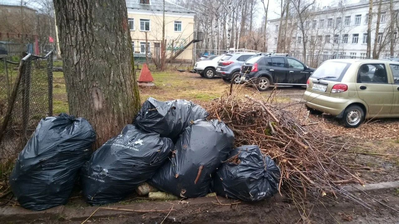 Вывоз мусора после субботника в Кохме от ПроМусор – уборка и утилизация отходов от 2441 руб