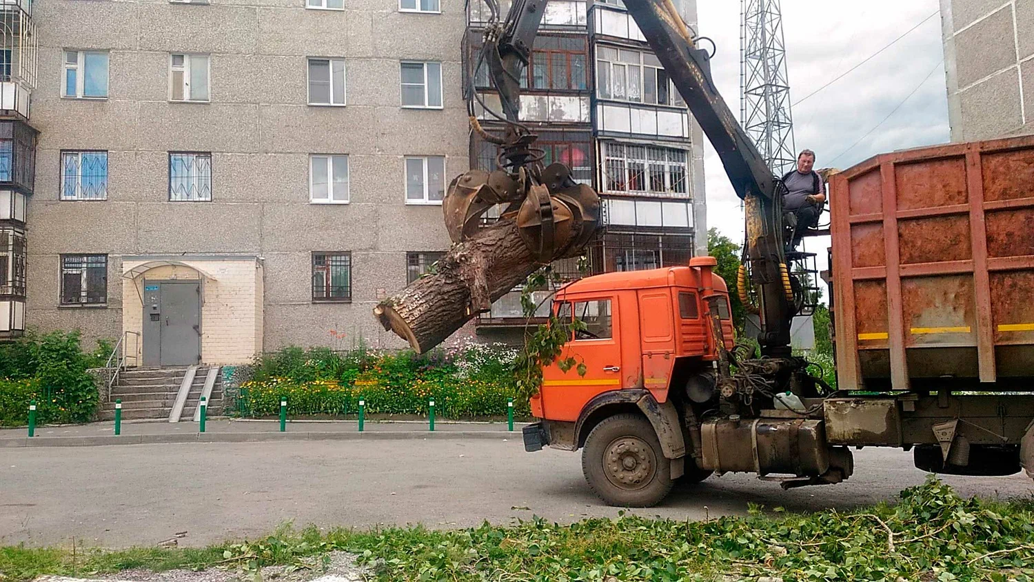 Вывоз спиленных веток и деревьев в Кохме от ПроМусор: порубочные остатки, утилизация, цена от 3013 руб