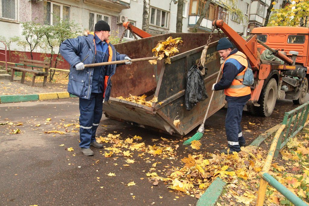 Вывоз опавшей листвы и растительного мусора в Кохме от ПроМусор – цена от 4675 руб., быстрая уборка и утилизация
